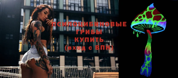 стафф Баксан
