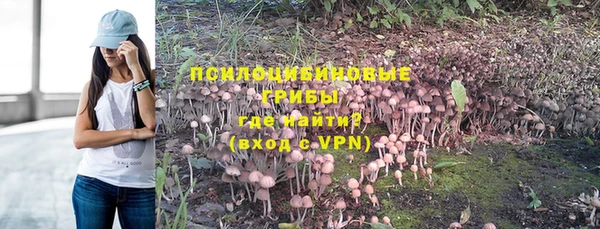стафф Баксан
