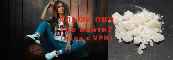 СК Покачи