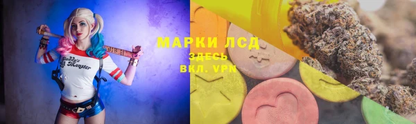стафф Баксан